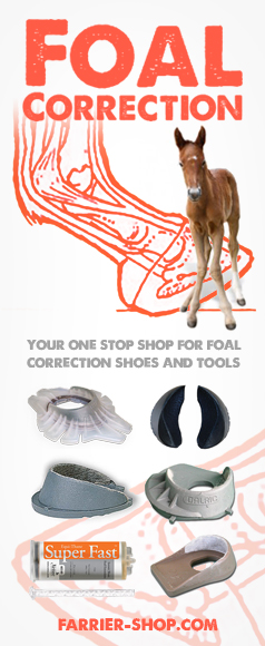 Foal Correction